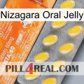 Nizagara Oral Jelly new05